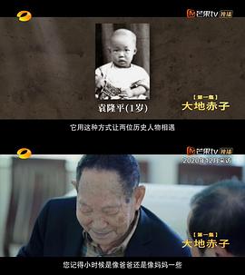 《杂交水稻之父袁隆平》海报