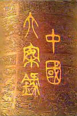 《中国大案录》海报