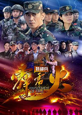 《特种兵之霹雳火》海报