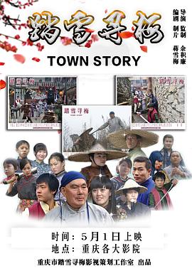 《踏雪寻梅》海报