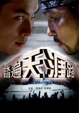 《踏遍天涯路》海报