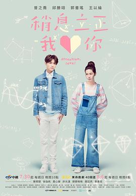 《稍息立正我爱你》海报