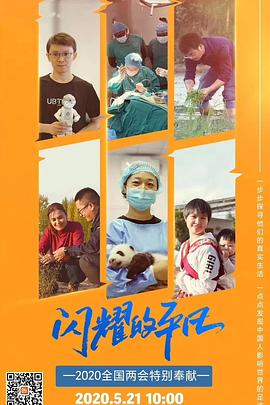《闪耀的平凡》海报