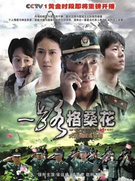 《一路格桑花》海报