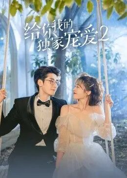 《给你我的独家宠爱2》海报