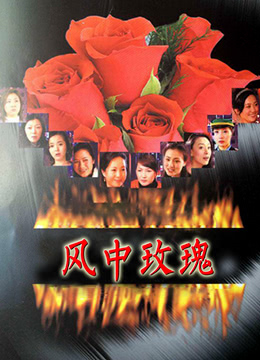 《风中玫瑰》海报