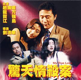 《惊天情杀案》海报