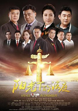 《阳光下的法庭》海报