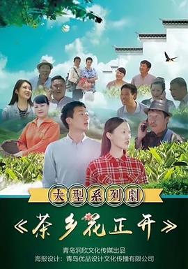 《茶乡花正开》海报