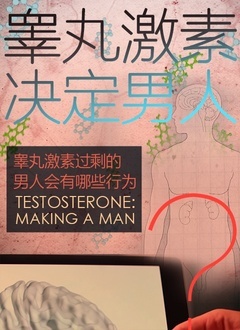《睾丸激素决定男人》海报