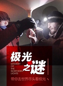 《极光之谜》海报