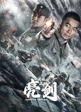 《亮剑之英雄虎胆》海报