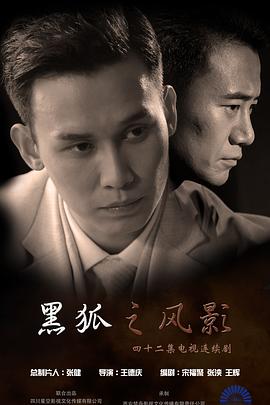 《黑狐之风影》海报
