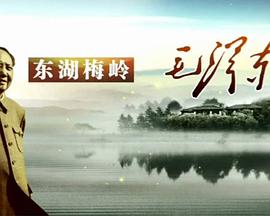 《东湖梅岭毛泽东》海报