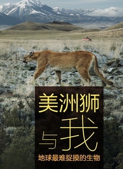 《美洲狮与我》海报