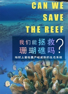 《我们能拯救珊瑚礁吗》海报