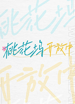 《桃花坞开放中》海报