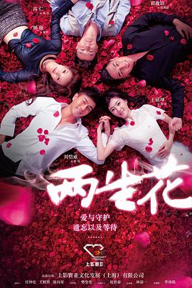 《两生花》海报