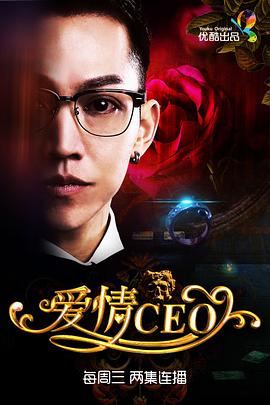 《爱情CEO》海报