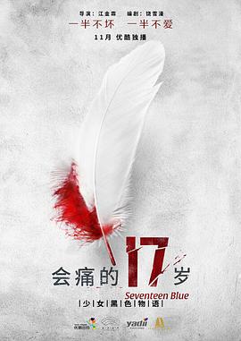 《会痛的17岁》海报