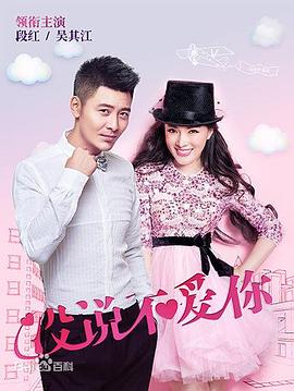 《没说不爱你》海报