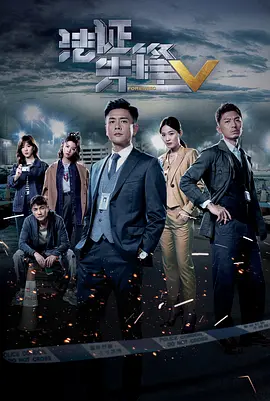 《法证先锋5》海报