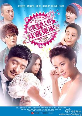 《当婆婆遇上妈之欢喜冤家》海报