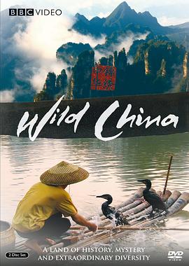 《美丽中国》海报