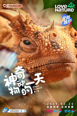 《神奇动物的一天 第一季》海报