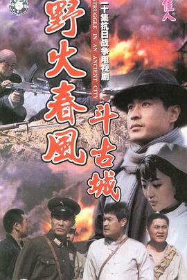 《野火春风斗古城》海报