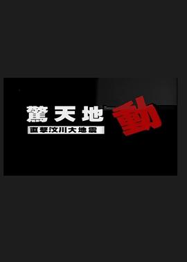 《惊天地动：直击汶川大地震》海报