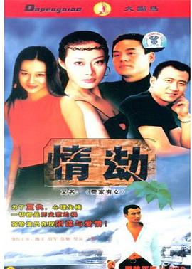 《费家有女》海报
