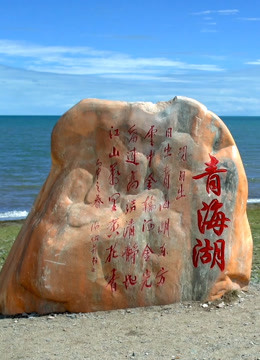 《丝绸之路青海道》海报