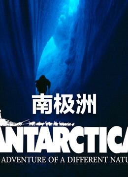 《南极洲》海报