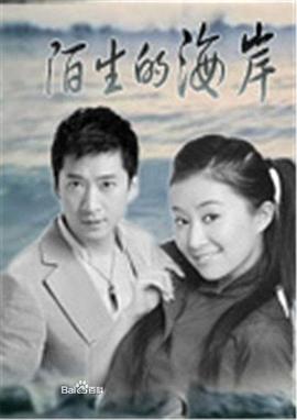 《陌生的海岸》海报