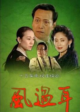 《风过耳》海报