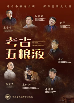 《考古五粮液系列专题片》海报