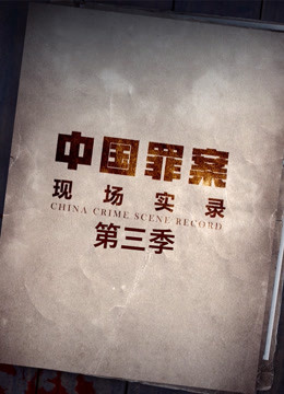 《罪案现场实录 第三季》海报