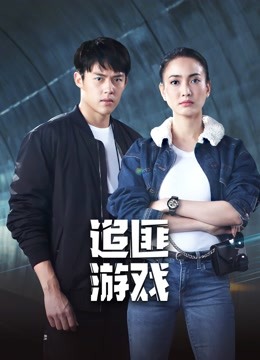 《追匪游戏》海报