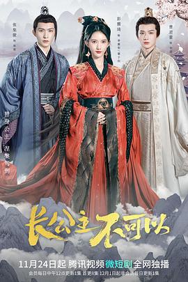 《长公主不可以》海报