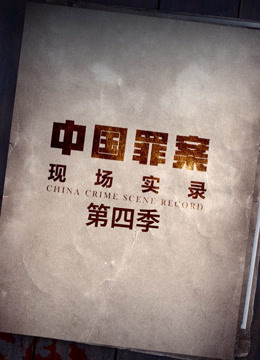 《罪案现场实录 第四季》海报