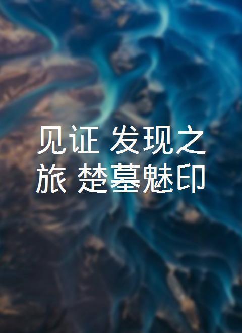 《见证·发现之旅：楚墓魅印》海报