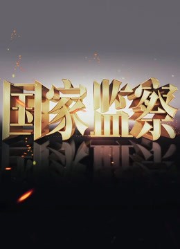 《国家监察》海报