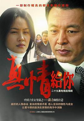 《真情给你》海报