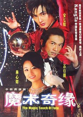 《魔术奇缘》海报