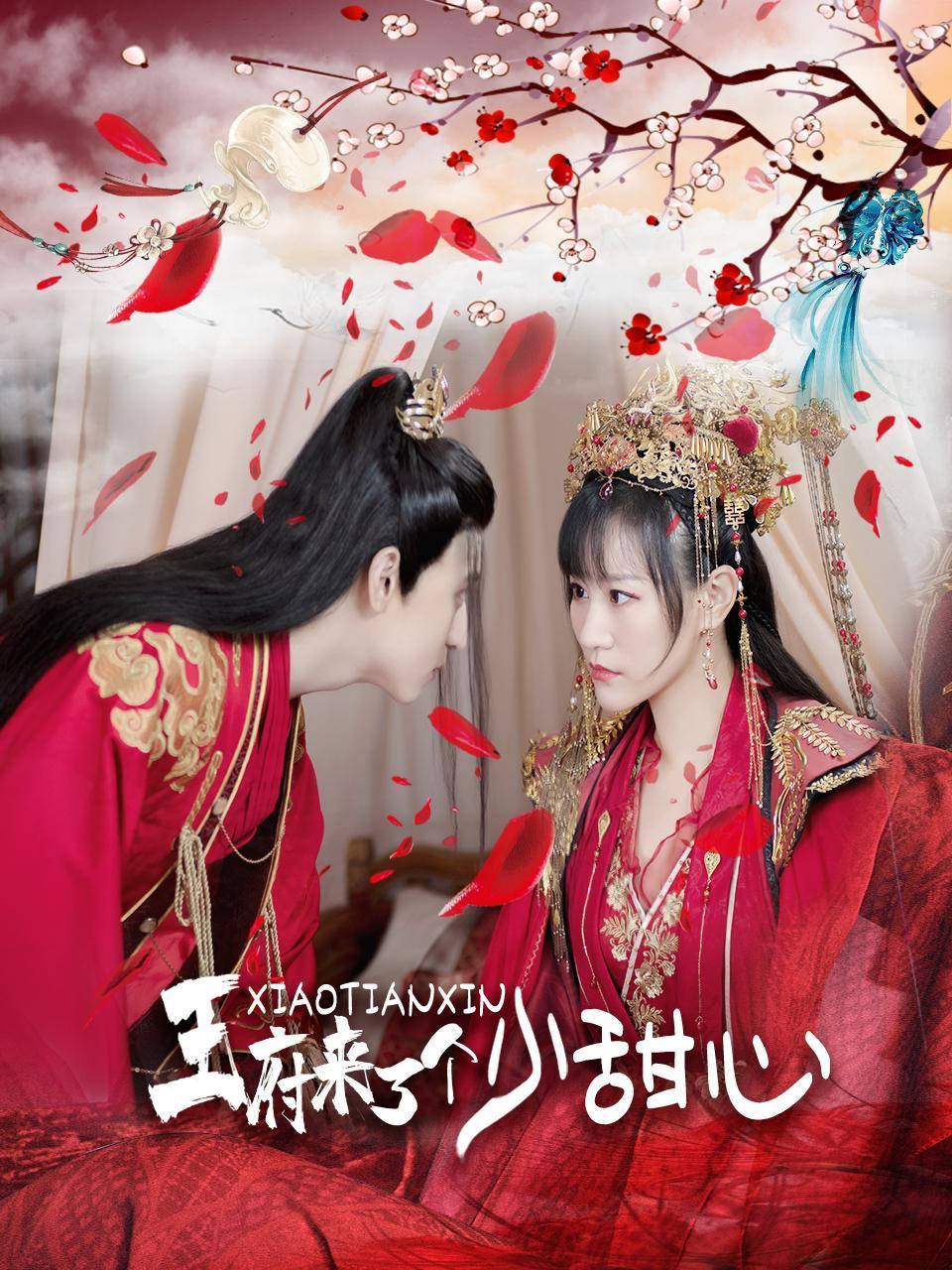 《王府来了一个小甜心》海报