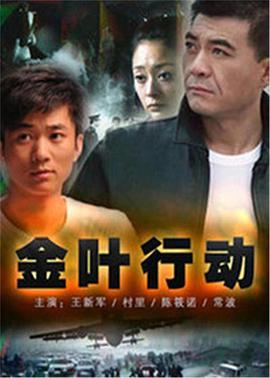 《金叶行动》海报
