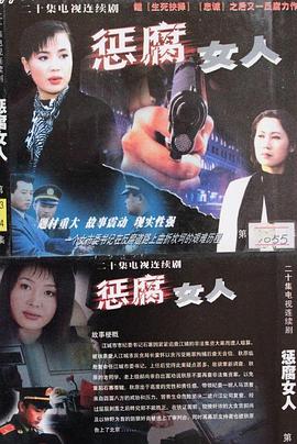 《惩腐女人》海报