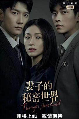 《妻子的秘密世界》海报