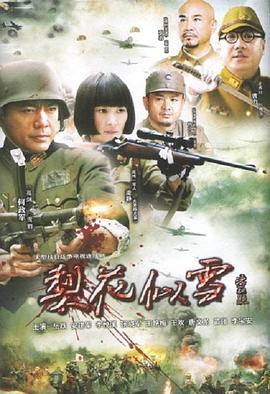 《梨花似雪》海报